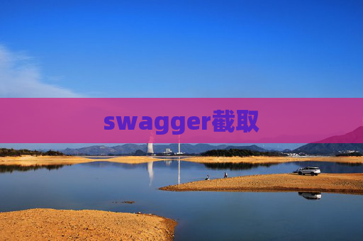 swagger截取